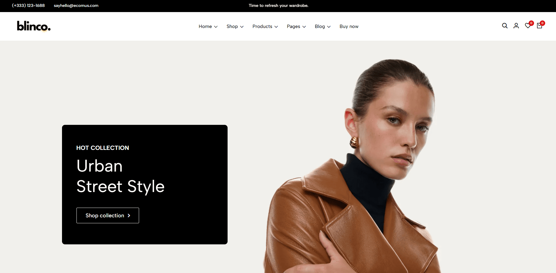 templates of websites made in blinco