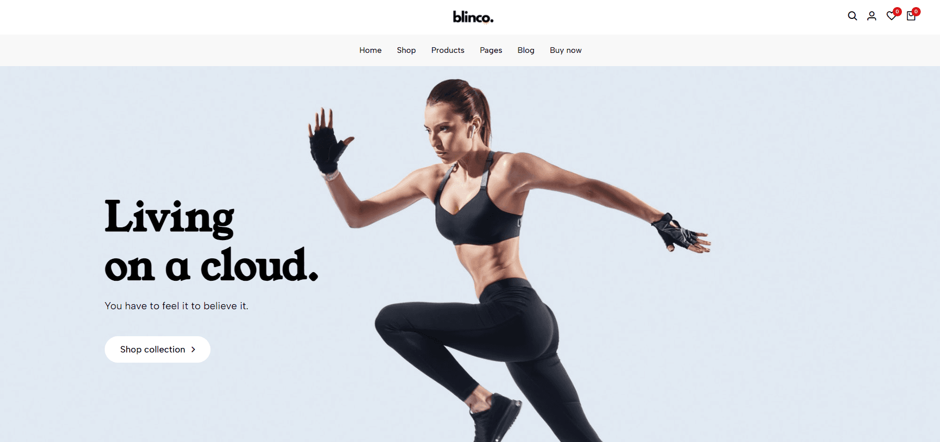 templates of websites made in blinco